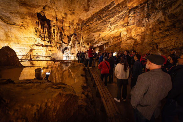 grottes-de-lacave-01 grottes-de-lacave-01
